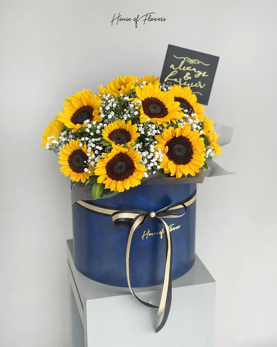 Sunshine in a Box