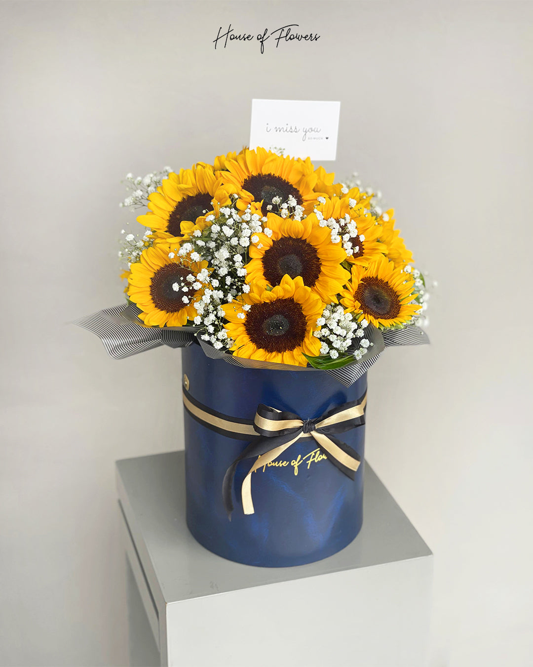 Sunshine in a Box