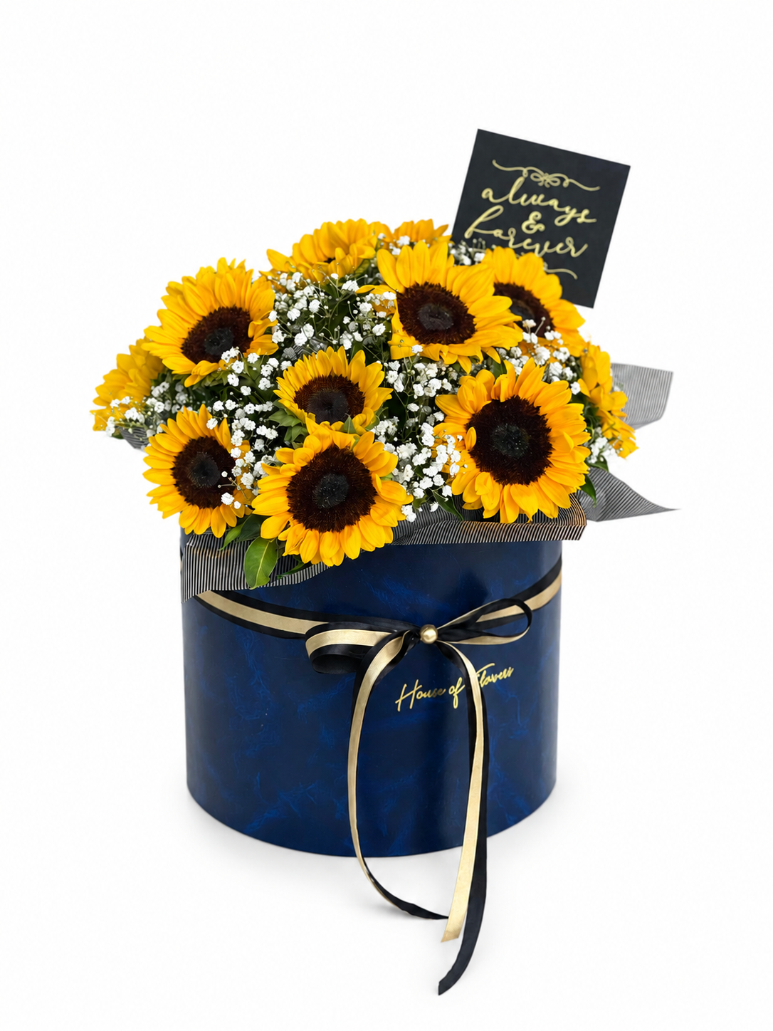Sunshine in a Box