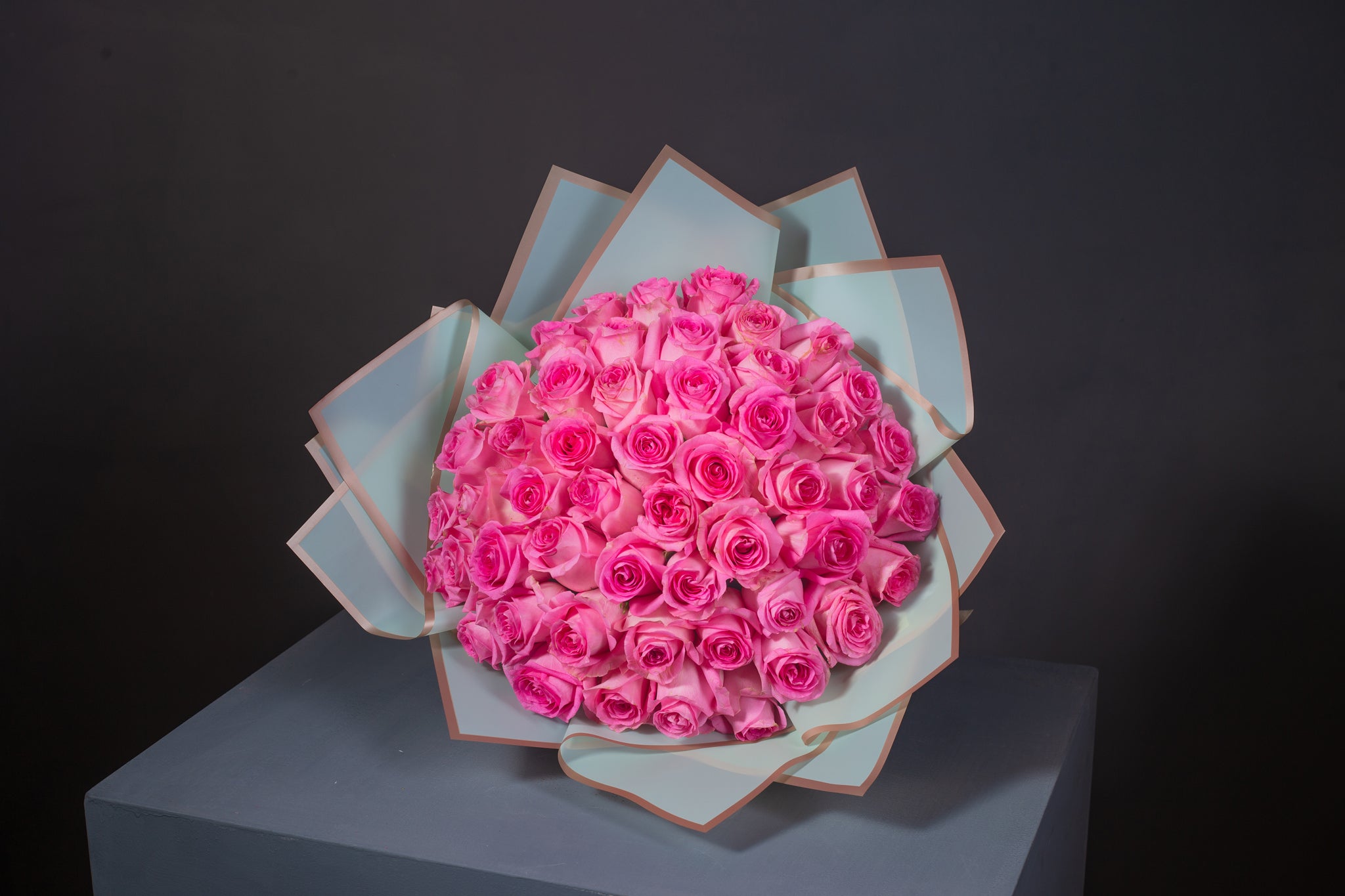 Posh Pink