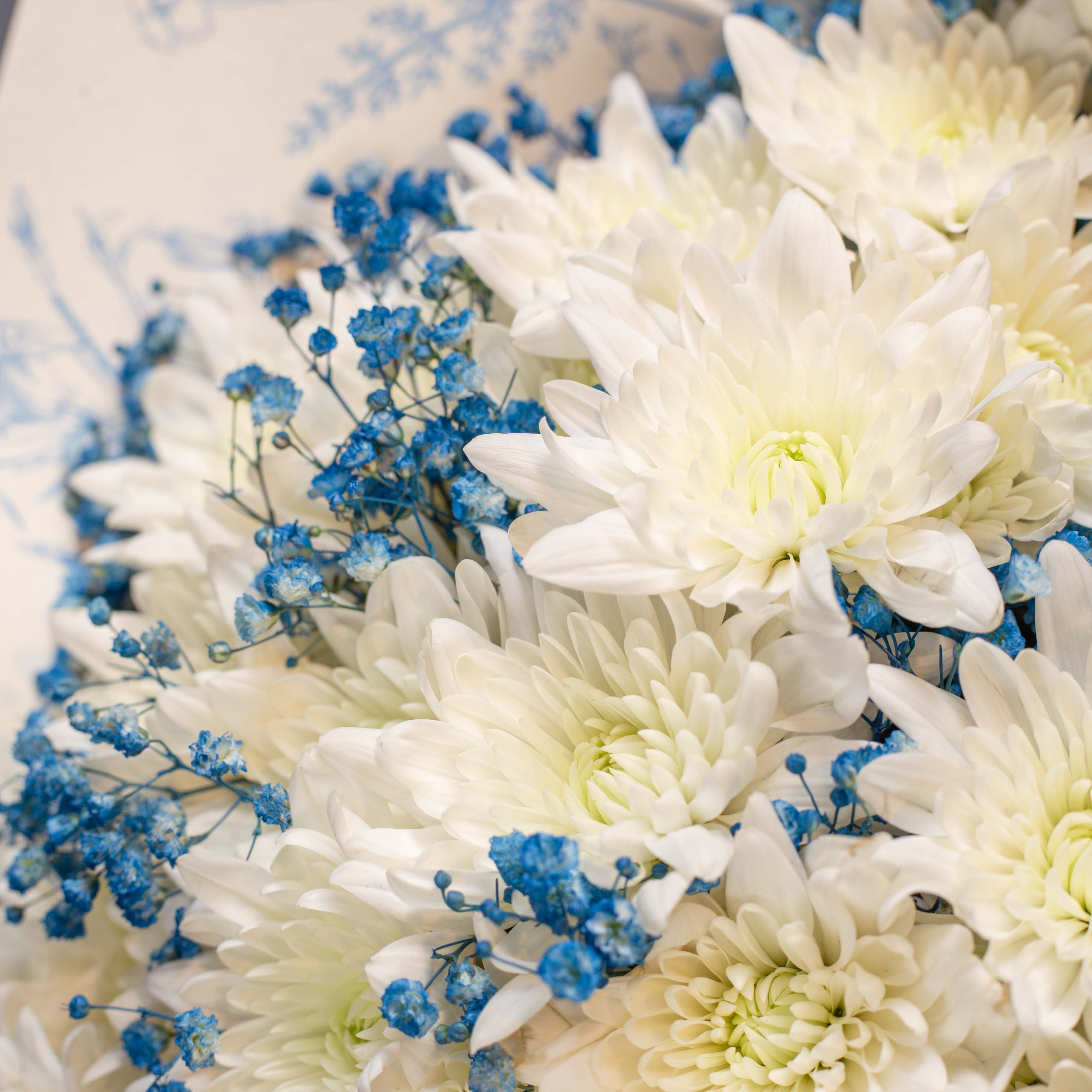 Floraison