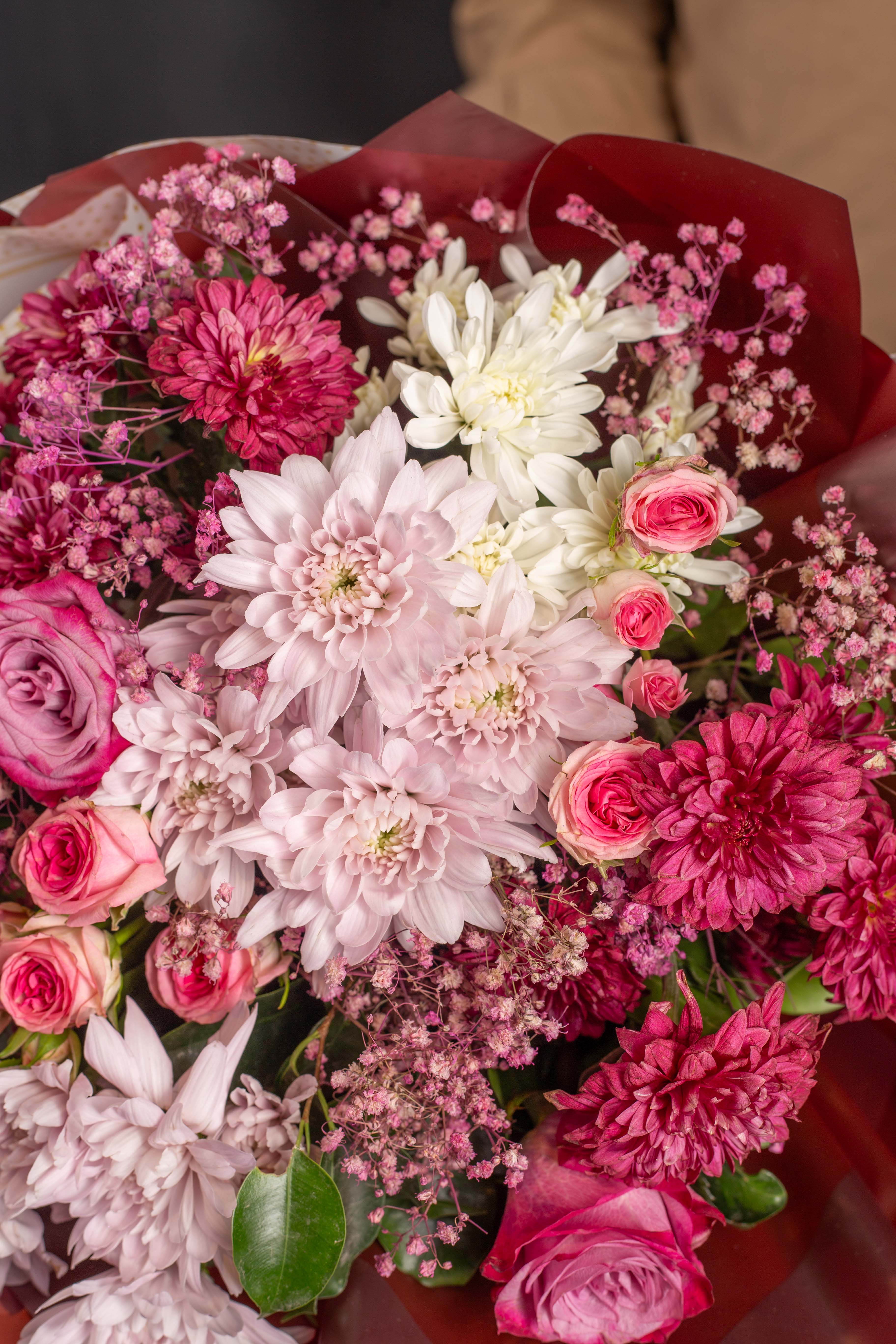Carnation Hue