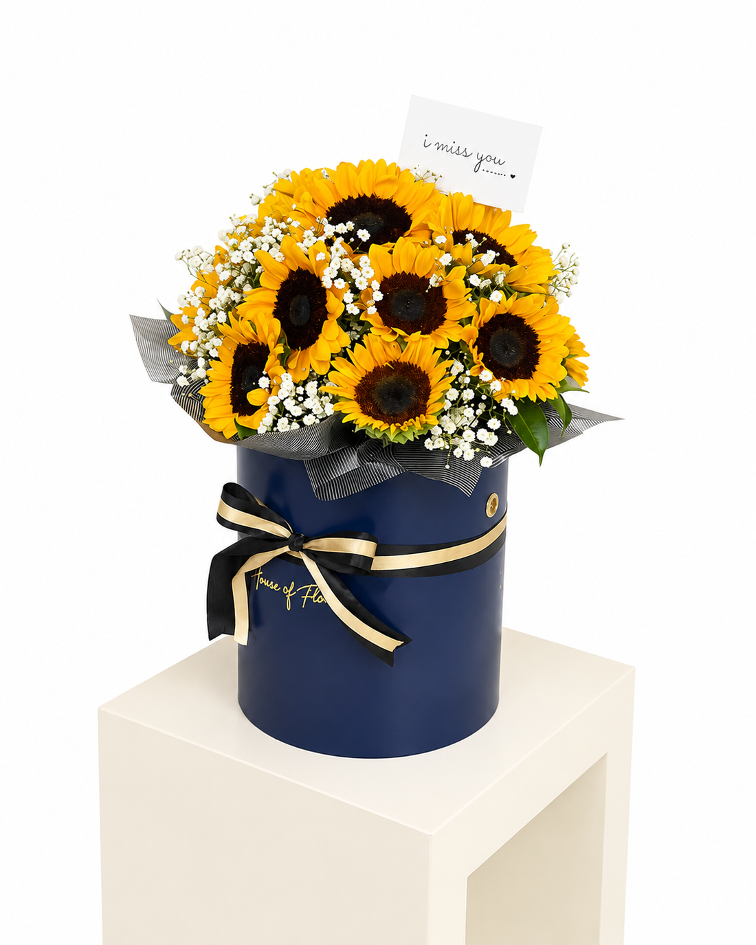 Sunshine in a Box