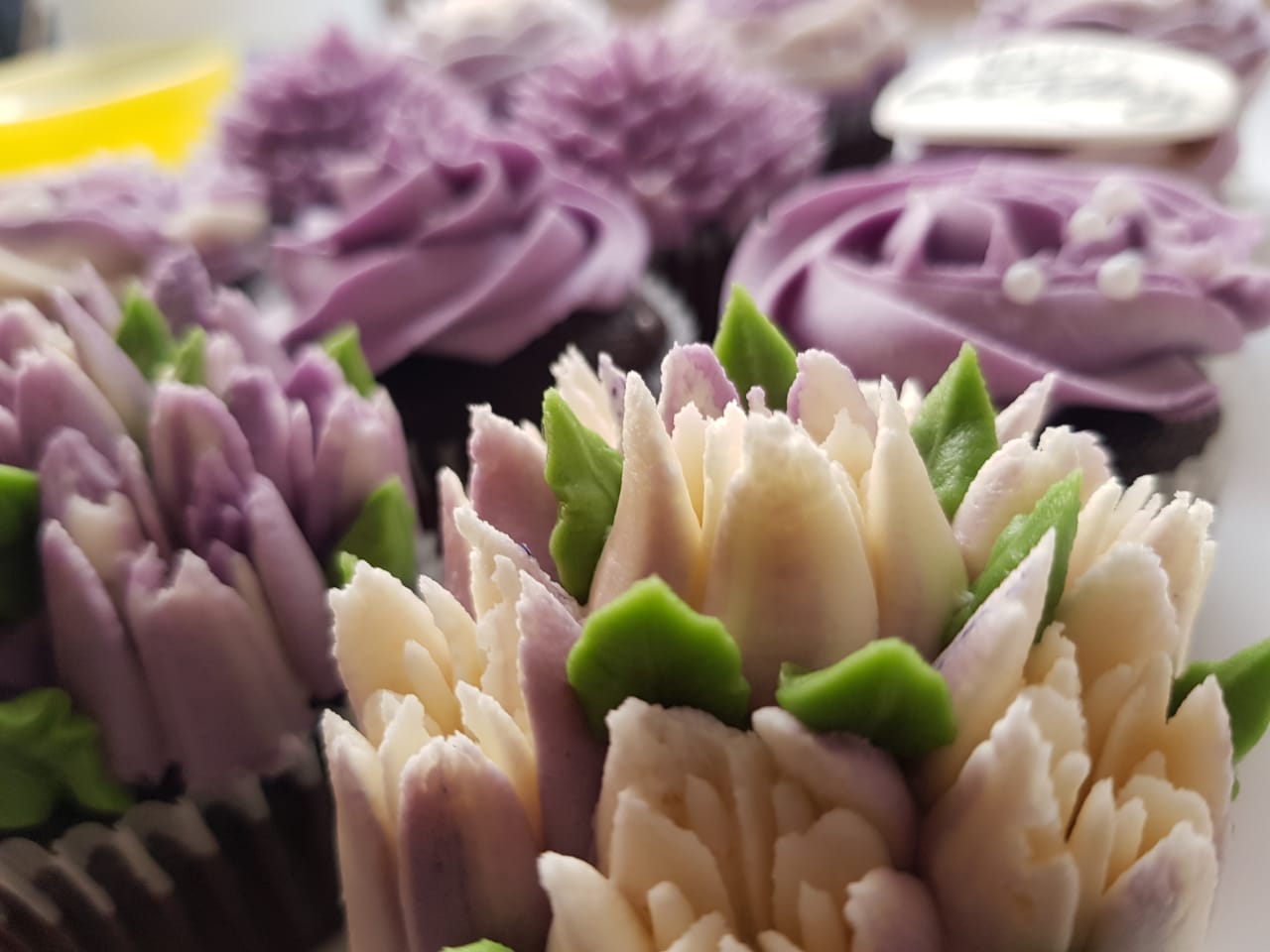 Violet Cupcakes