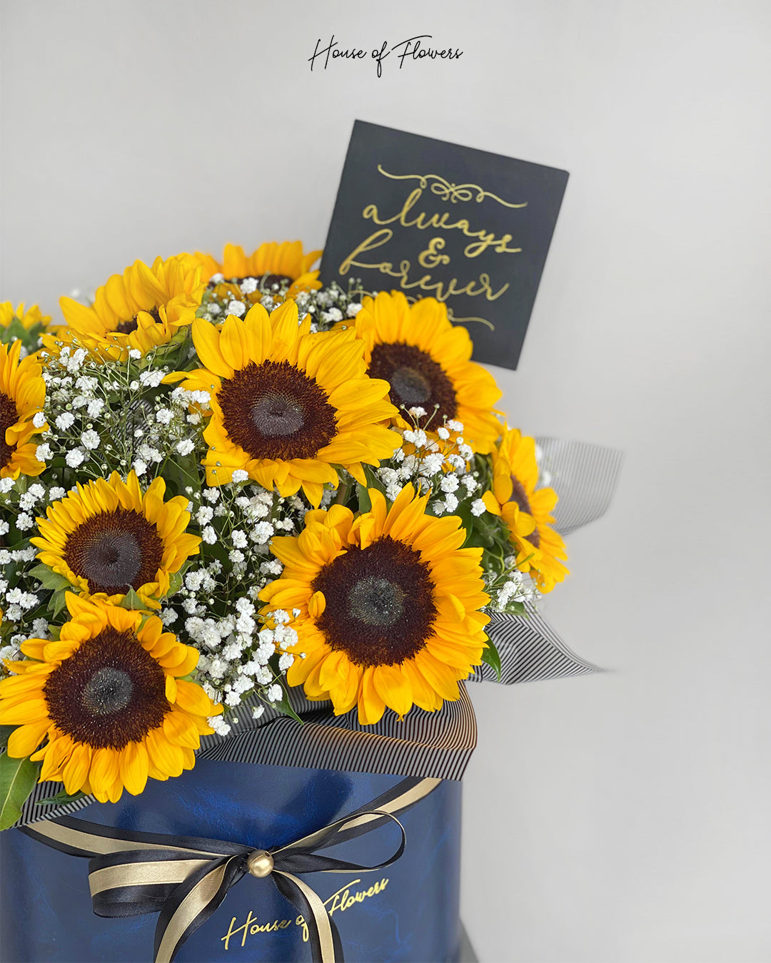Sunshine in a Box