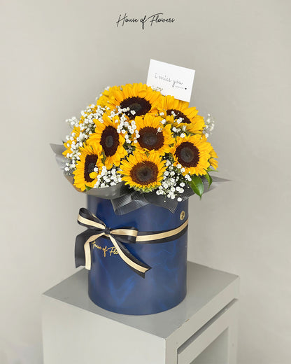 Sunshine in a Box