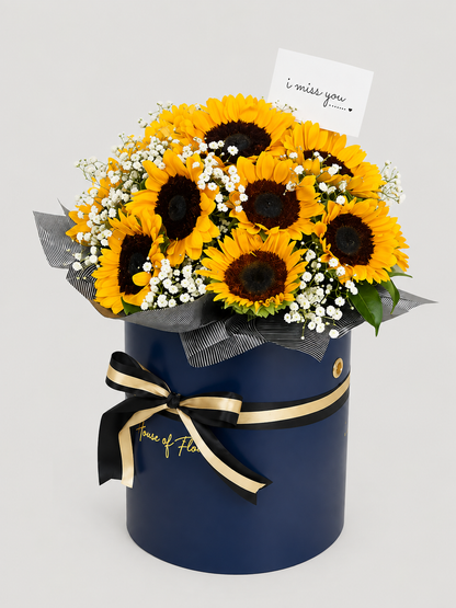 Sunshine in a Box