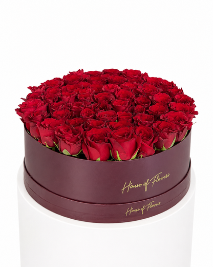 Grand Crimson Box
