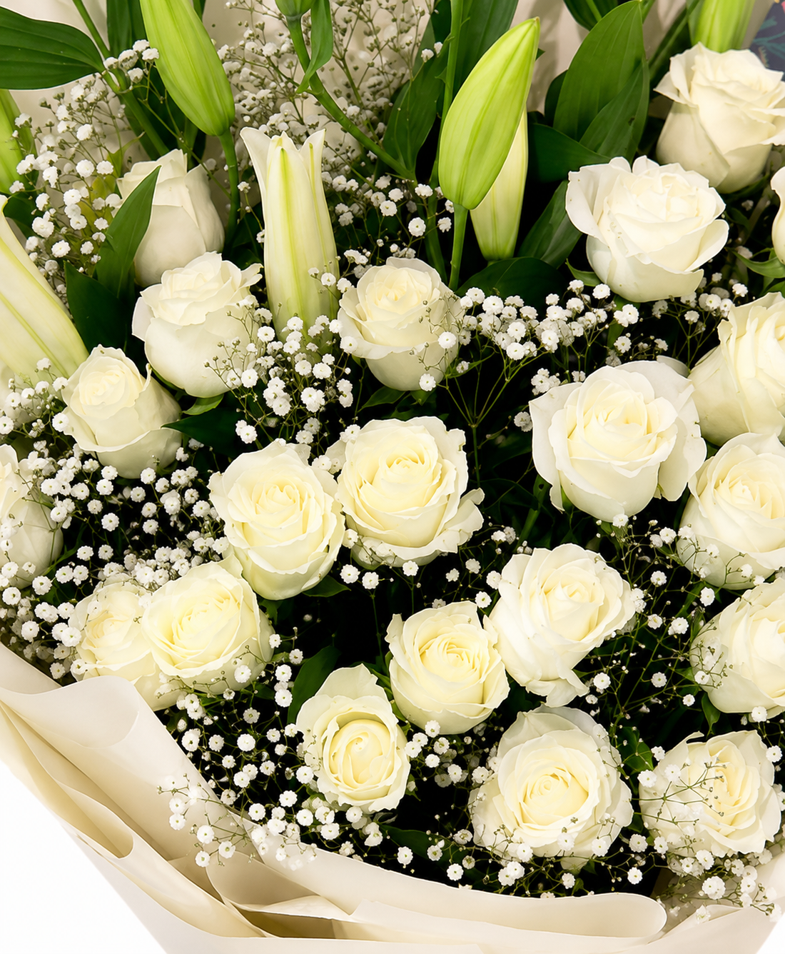 White Love