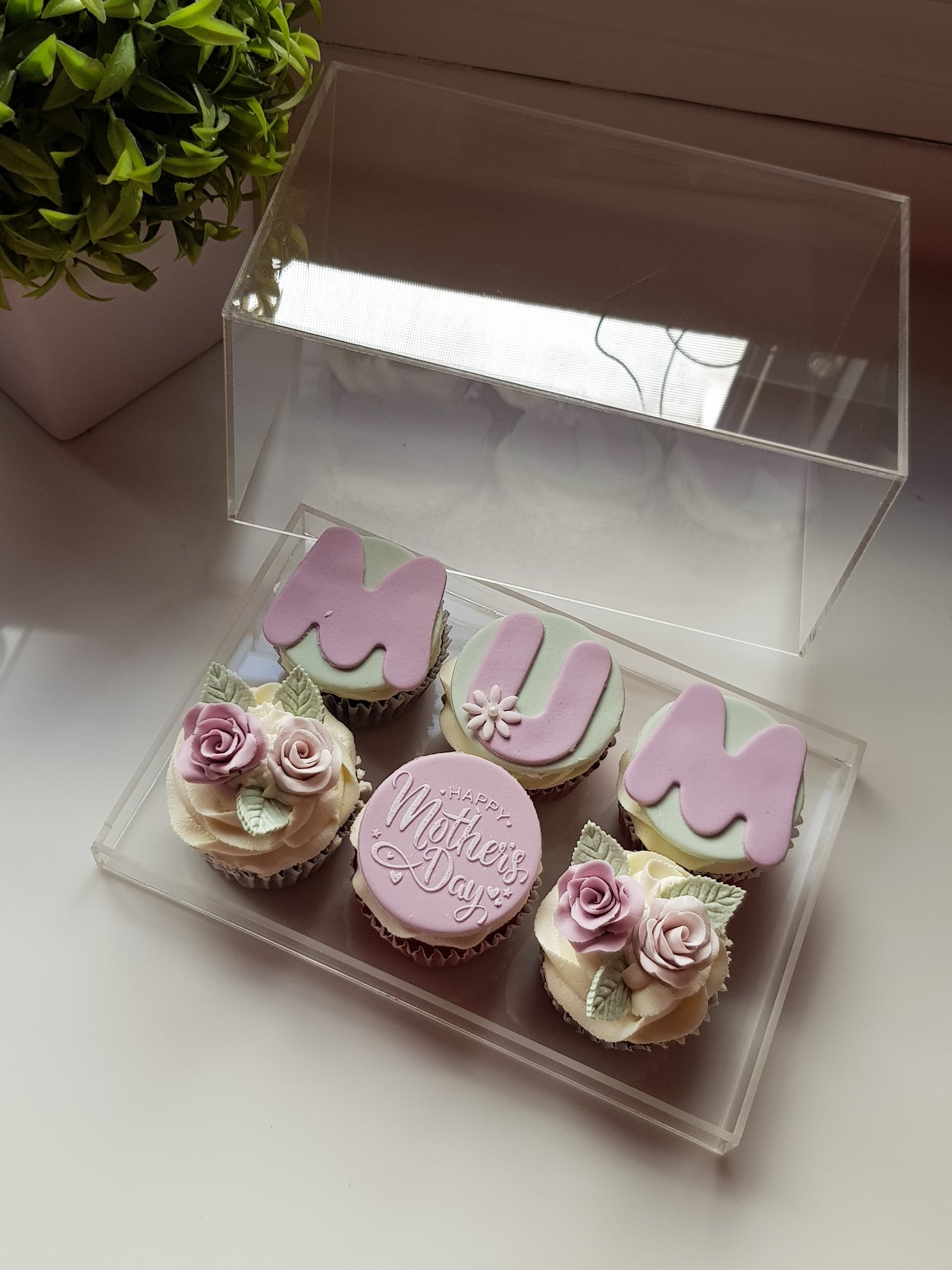 Cupcake Queen