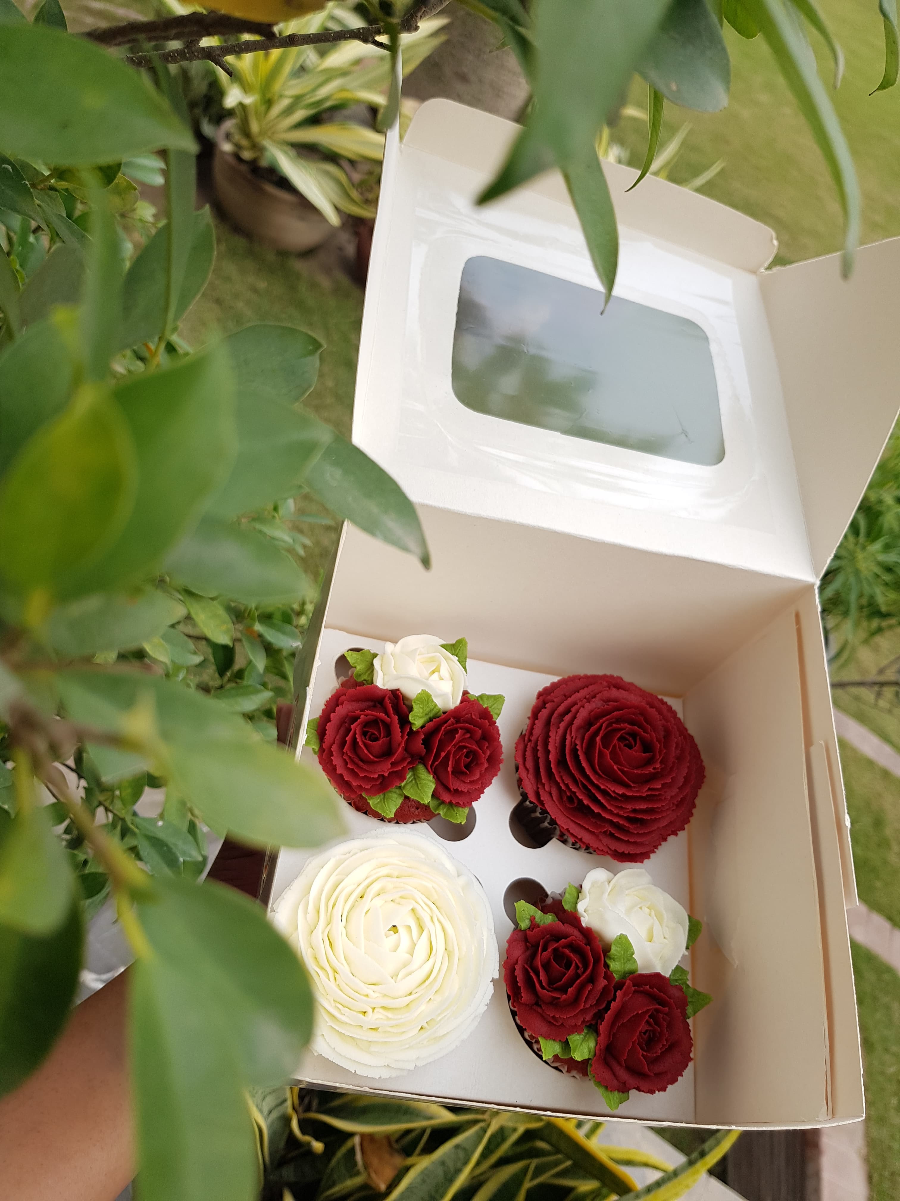 Rose Garden Cupcakes