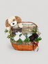 this basket contains a stuff toy, danisa cookies, lals chocolate, galaxy chocoloates and a sceneted candle