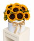 A bouquet of sunflowers arranged in a round white box tied with a gold ribbon, displayed on a white pedestal against a white background.