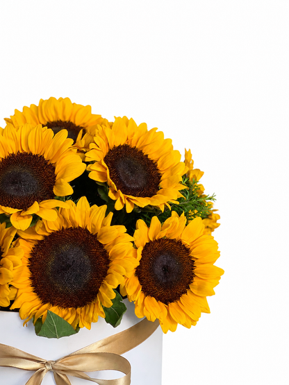 A bouquet of bright yellow sunflowers with dark brown centers and green leaves, arranged in a white box tied with a gold ribbon on a plain white background.