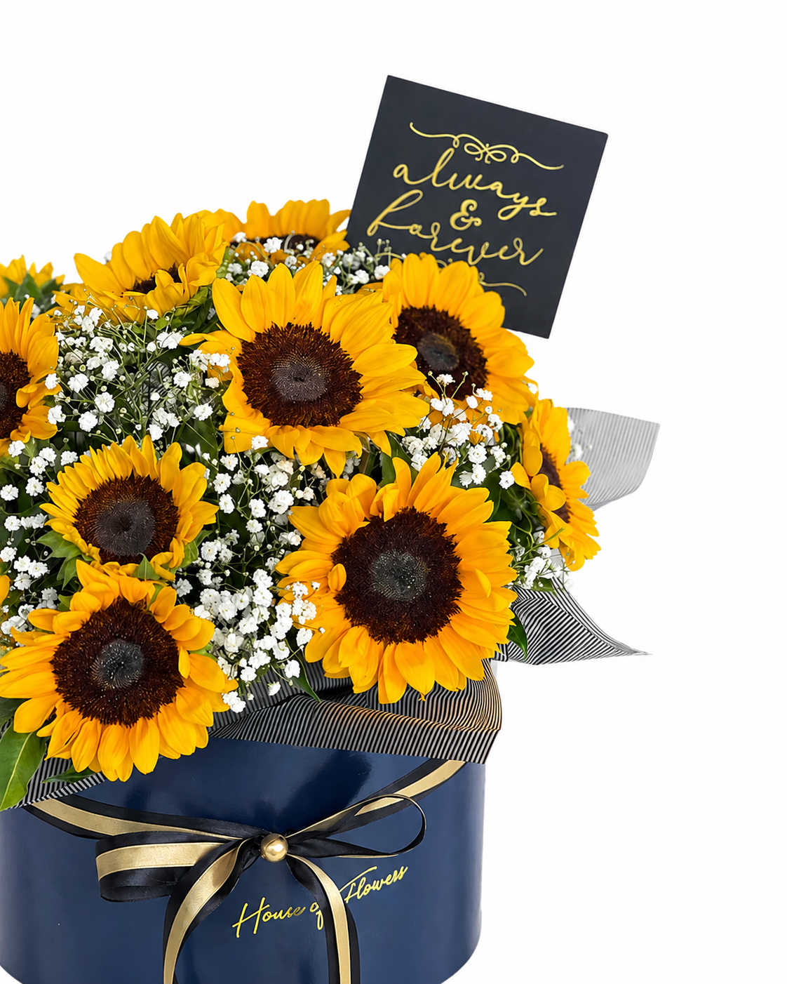 Sunshine in a Box