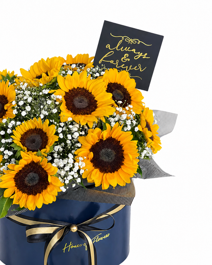 Sunshine in a Box