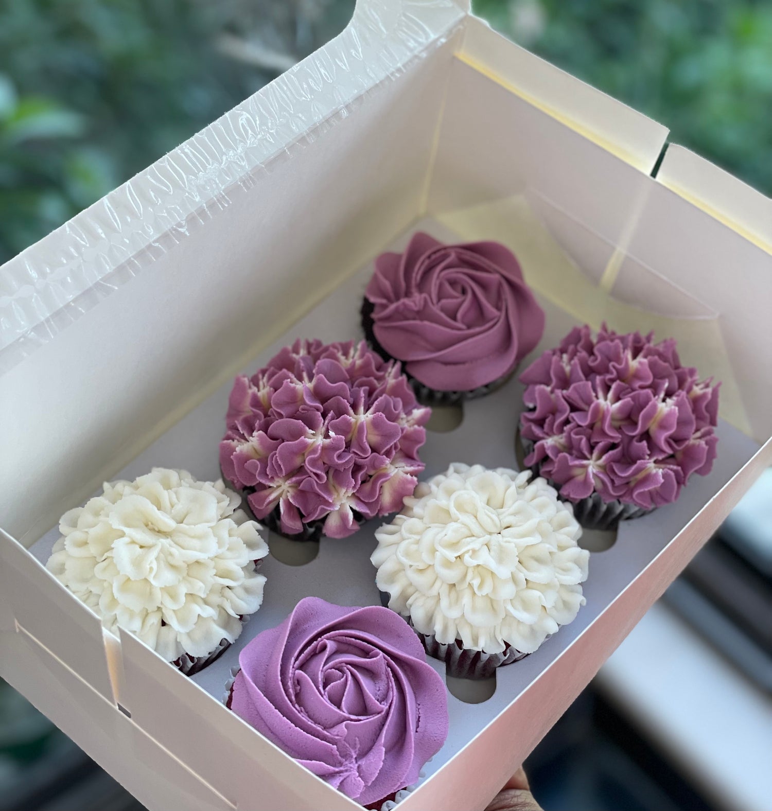 NEW Buttercream Cupcakes - House of Flowers 